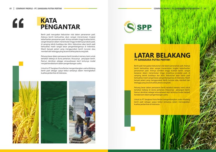 company profile